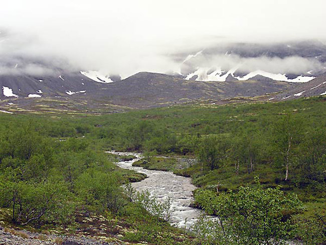 DSCN4267